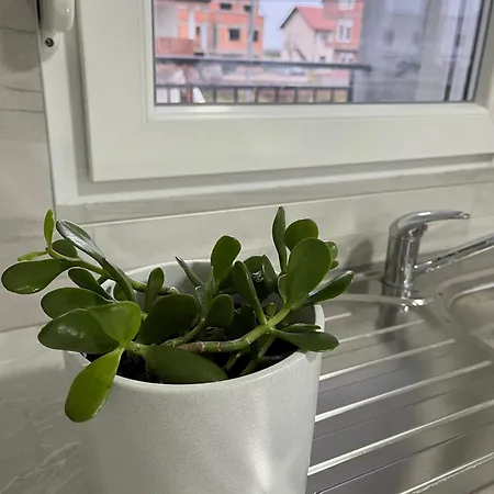 아파트 Airport Art *